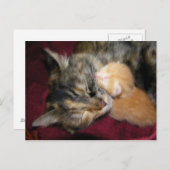 ママを愛する ポストカード (正面/裏面)