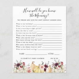 ママを知っている |赤ちゃんシャワーゲーム