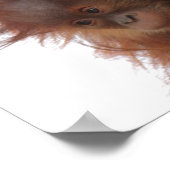 ママアンドベビーオラングタン ポスター (角)