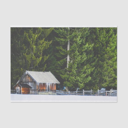 ママアンドベビーバー保護ンズバイジャイアントツリーズ 薄葉紙 (正面)