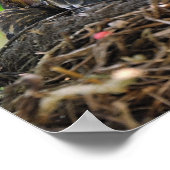 ママアンドベビーロビンズ ポスター (角)