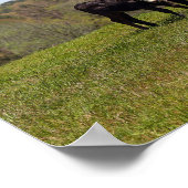 ママカウアンドカーフテキサス州牧場 ポスター (角)