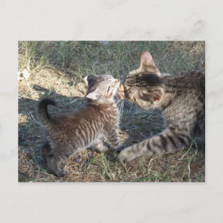 ママクリーンアップベビー ポストカード