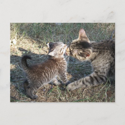 ママクリーンアップベビー ポストカード (正面)