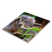 ママコアラとベビージョーイの木 タイル (側面)