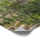 ママズプレジャーガーデン ポスター (角)