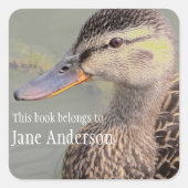 ママダックパーソナライズされた蔵書票シール スクエアシール (正面)