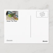 ママデクスターアンドベビールフス ポストカード (裏面)