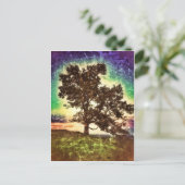 ママブナ ポストカード (スタンド正面)