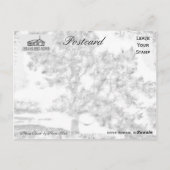 ママブナ ポストカード (裏面)