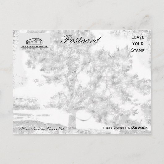 ママブナ ポストカード (裏面)