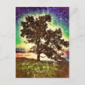 ママブナ ポストカード (正面)