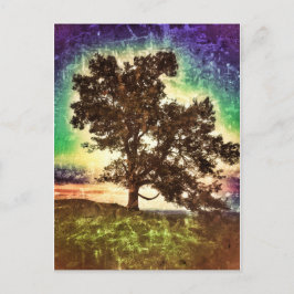 ママブナ ポストカード