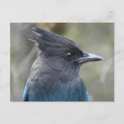 ママブルーポストカード ポストカード (正面)