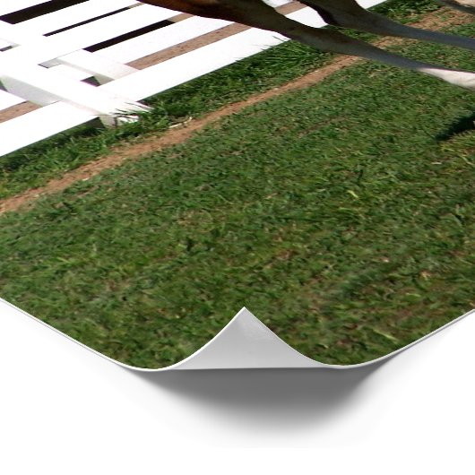 ママベビー ポスター (角)