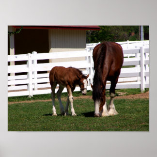 ママベビー ポスター