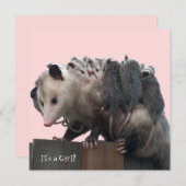 ママポッサムベビーユーモアのあるビーシャワー招待状 招待状 (正面/裏面)