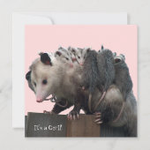 ママポッサムベビーユーモアのあるビーシャワー招待状 招待状 (正面)