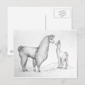 ママラマとクリア ポストカード (正面/裏面)