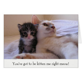 ママ及び子ネコ