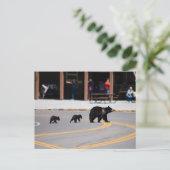 ママ熊と子牛が通りを渡る ポストカード (スタンド正面)