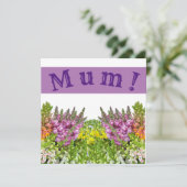 ママ！カード カード (スタンド正面)