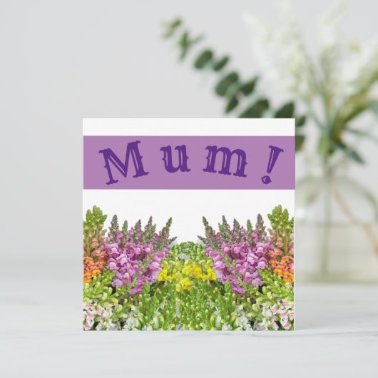 ママ！カード カード (スタンド正面)