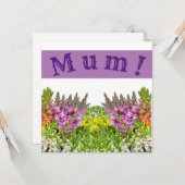 ママ！カード カード (正面/裏面インサイチュ)