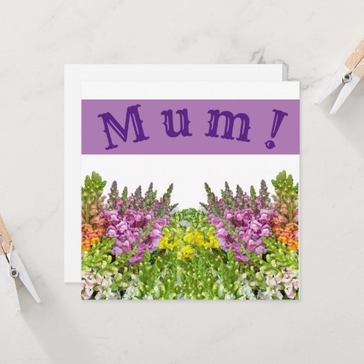 ママ！カード カード (正面/裏面インサイチュ)