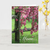 ママ…ハナミズキ カード (黄色い花)