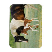 ママ&フ生まれたばかりのィリ絵を描ー マグネット (縦)