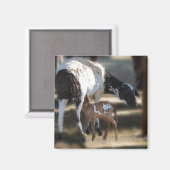 ママ&ベビーヤギ マグネット (正面/裏面)