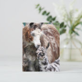 ママ&ベビーラマキス ポストカード (スタンド正面)