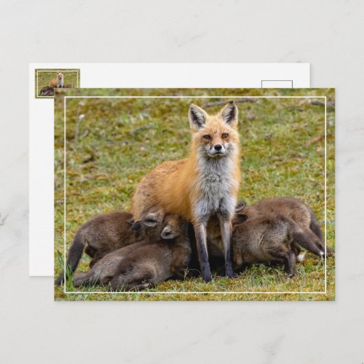 ママ ポストカード (正面/裏面)