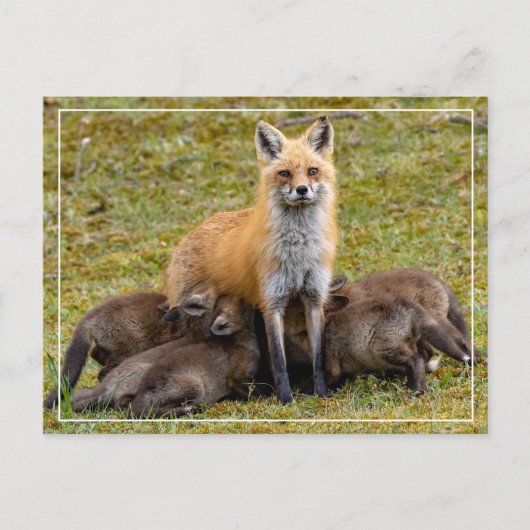 ママ ポストカード (正面)