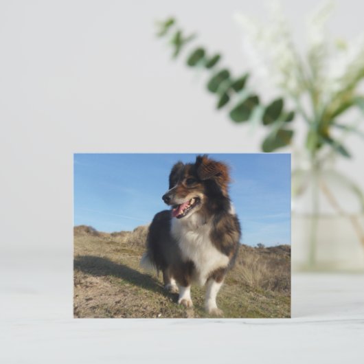 ママ ポストカード (スタンド正面)