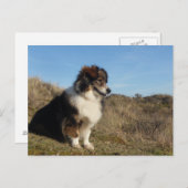 ママ ポストカード (正面/裏面)