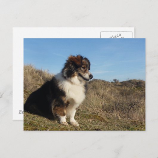 ママ ポストカード (正面/裏面)