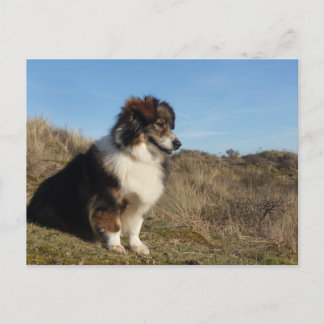 ママ ポストカード