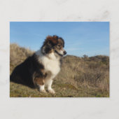 ママ ポストカード (正面)