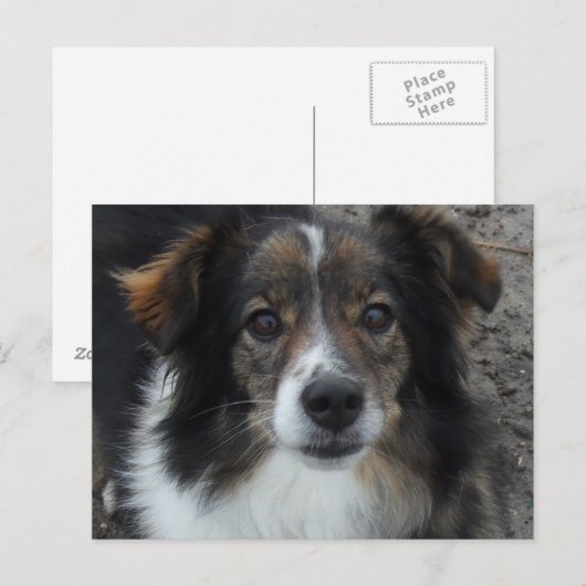 ママ ポストカード (正面/裏面)