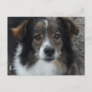 ママ ポストカード