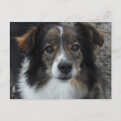 ママ ポストカード (正面)