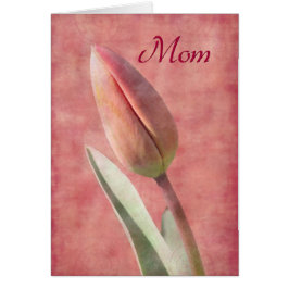 マムチューリップ