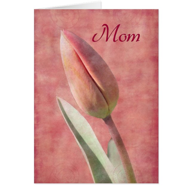 マムチューリップ (正面)