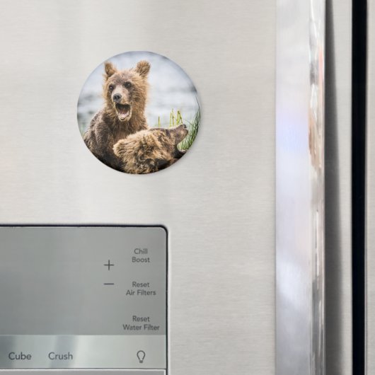 マムマグネットを探しているグリズリーのカブ マグネット (インサイチュ (冷蔵庫))