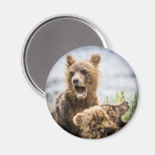 マムマグネットを探しているグリズリーのカブ マグネット (正面/裏面)