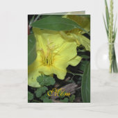 マム誕生日 カード (正面)