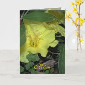 マム誕生日 カード (黄色い花)