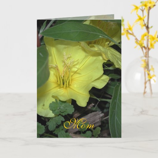 マム誕生日 カード (黄色い花)